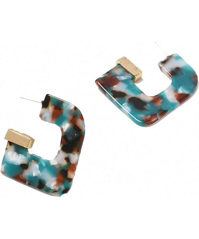 Women Acrylic Geometric Big Earrings Leopard Print Resin Statement Earrings Wedding Statement Earrings Brown $9.49 Earrings