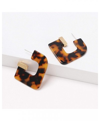 Women Acrylic Geometric Big Earrings Leopard Print Resin Statement Earrings Wedding Statement Earrings Brown $9.49 Earrings