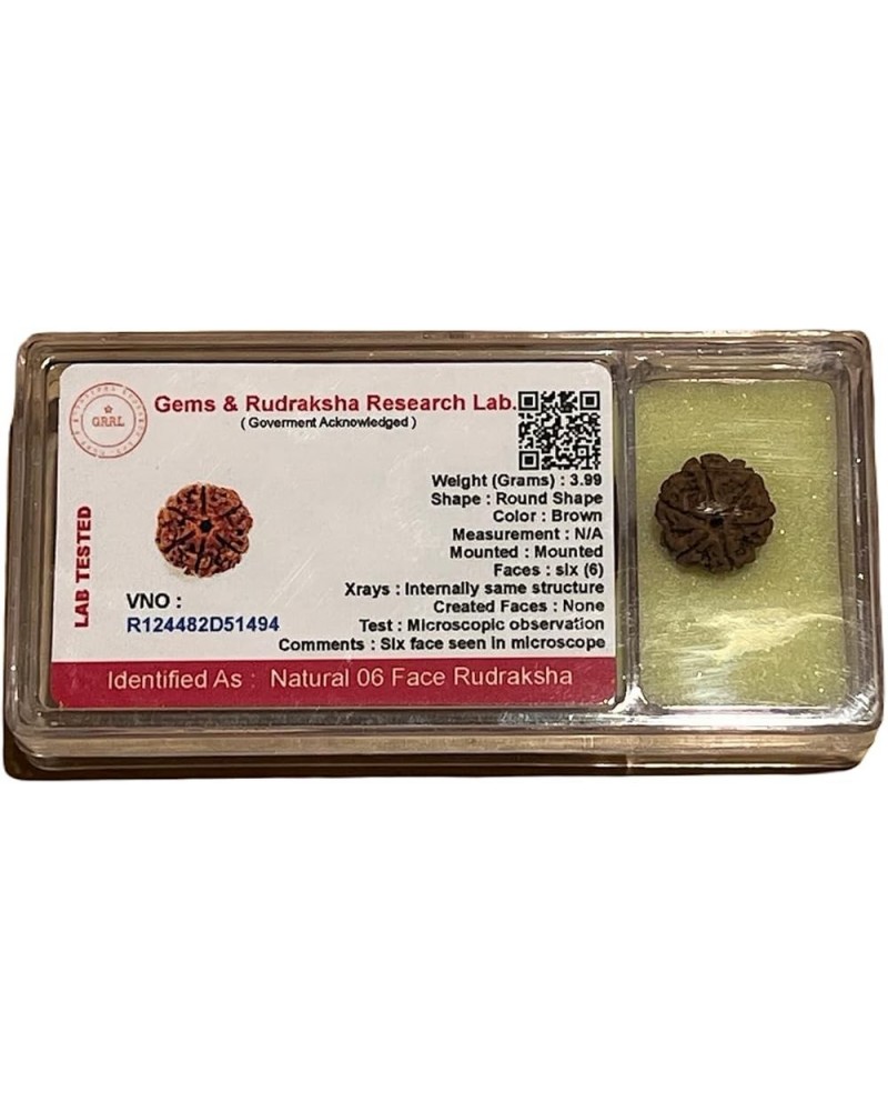 AwakenYourKundalini's Natural Rudraksha Beads (1,2,3,4,5,6,7,8,9,10,11,12,13,14 Faced) Original Rudraksha Beads Himalayan Ori...