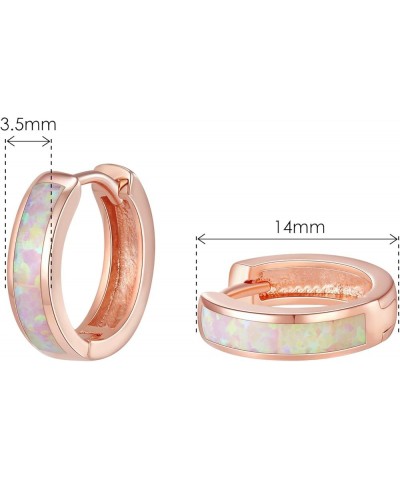 Opal Stud Hoop Earrings Set: Hypoallergenic Small Hoops Earrings for Women Girls Sensitive Ears 07-Pink $13.56 Earrings