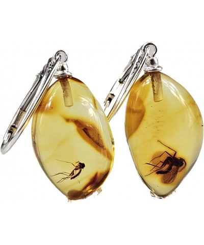 Small Amber earring, Insect in Amber, gemstone jewelry. Baltic Amber drop Earrings with inclusions, crystal $41.65 Earrings