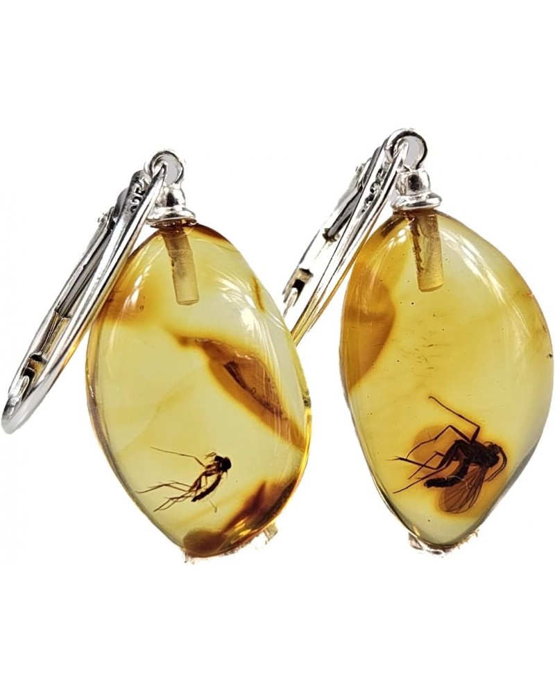 Small Amber earring, Insect in Amber, gemstone jewelry. Baltic Amber drop Earrings with inclusions, crystal $41.65 Earrings