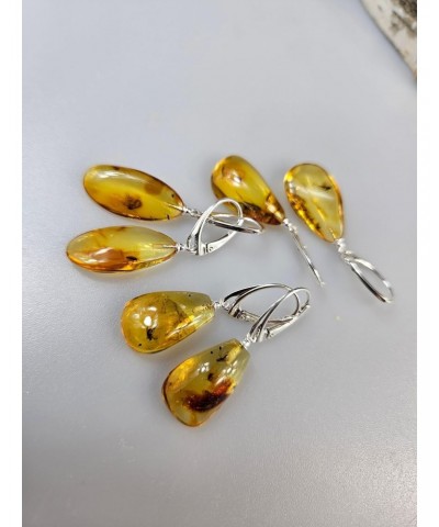 Small Amber earring, Insect in Amber, gemstone jewelry. Baltic Amber drop Earrings with inclusions, crystal $41.65 Earrings