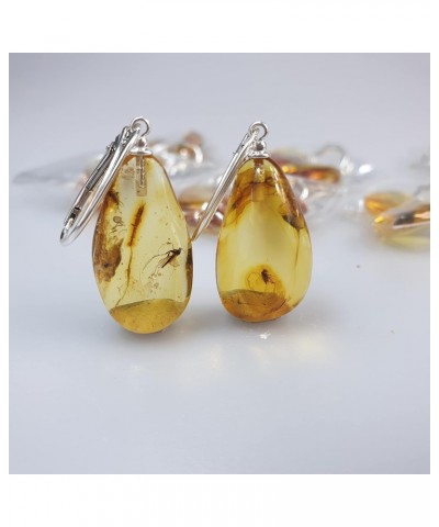 Small Amber earring, Insect in Amber, gemstone jewelry. Baltic Amber drop Earrings with inclusions, crystal $41.65 Earrings