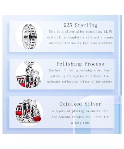 925 Sterling Silver Bracelets Charms and Heart Charm and Boarding Pass Charms and Animal Charms and Lover Charm for Best Gift...