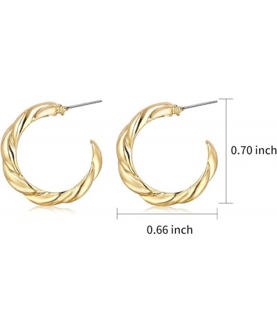 Small Thick Gold Chunky Hoop Earrings Lightweight Hoops For Women Style-3 $9.17 Earrings