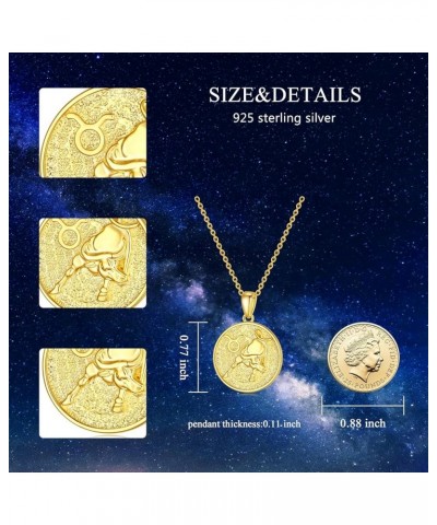 925 Sterling Silver Constellation Necklaces Horoscope Medallion Coin Disc Charm Dainty Celestial Astrology Jewelry for Women ...