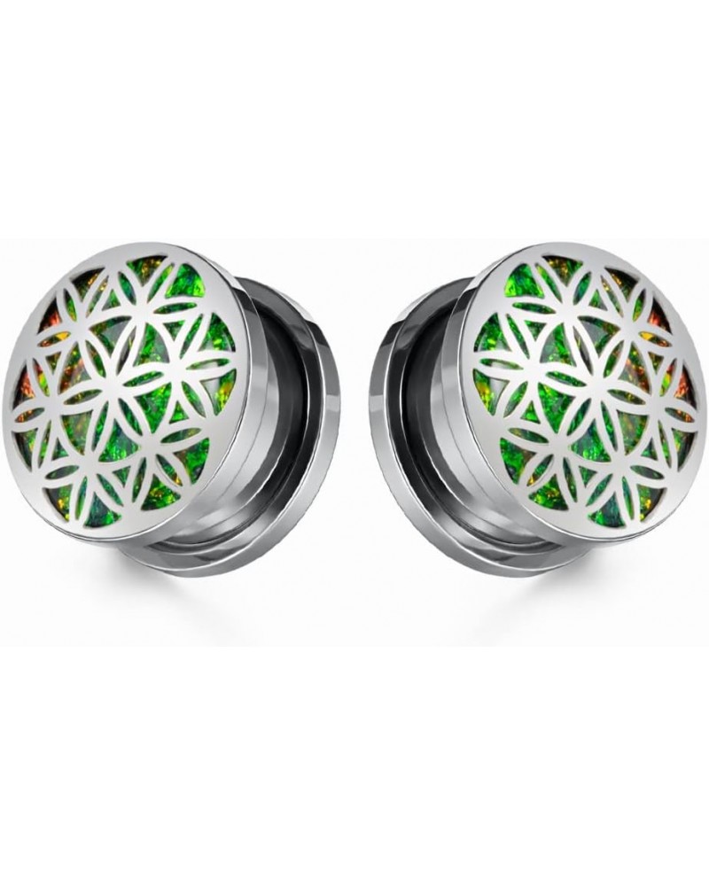 2PCS 8mm-25mm Stainless Steel Ear Gauges Screwed Flesh Tunnels Stretcher Piercing Jewelry for Women 1/2"-12mm 1 Silver $10.59...