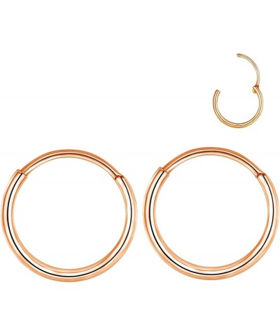 316L Surgical Steel Endless Hoop Earrings Nose Rings Hinged Segment Rings Cartilage Earrings Hoop Septum Rings Daith Helix Ro...