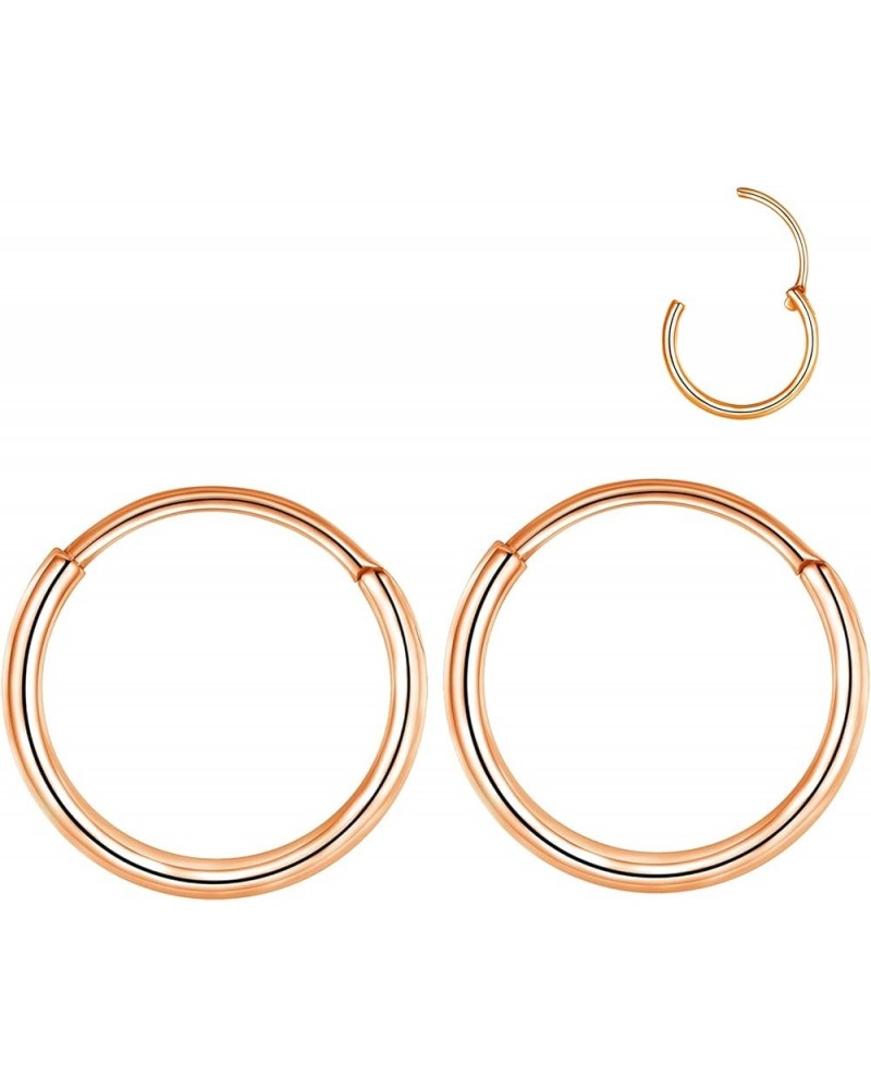 316L Surgical Steel Endless Hoop Earrings Nose Rings Hinged Segment Rings Cartilage Earrings Hoop Septum Rings Daith Helix Ro...