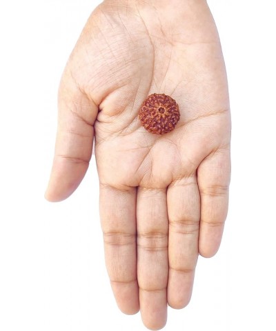 Original Nepali Rudraksha Bead/Rudraksha Bead Natural Rudra Religious Rosary Bead Rudra bead 7 mukhi $33.03 Necklaces