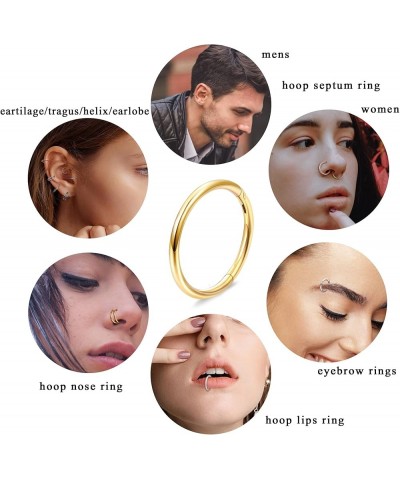 4PCS 18G Nose Rings Hoops, Surgical Steel Earrings Tragus Septum Piercing CZ Clicker Septum Ring Hinged Segment Septum Conch ...